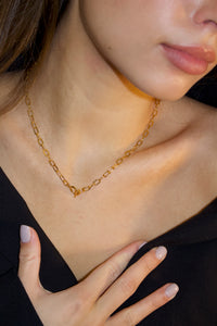 The Small Figaro Chain Short