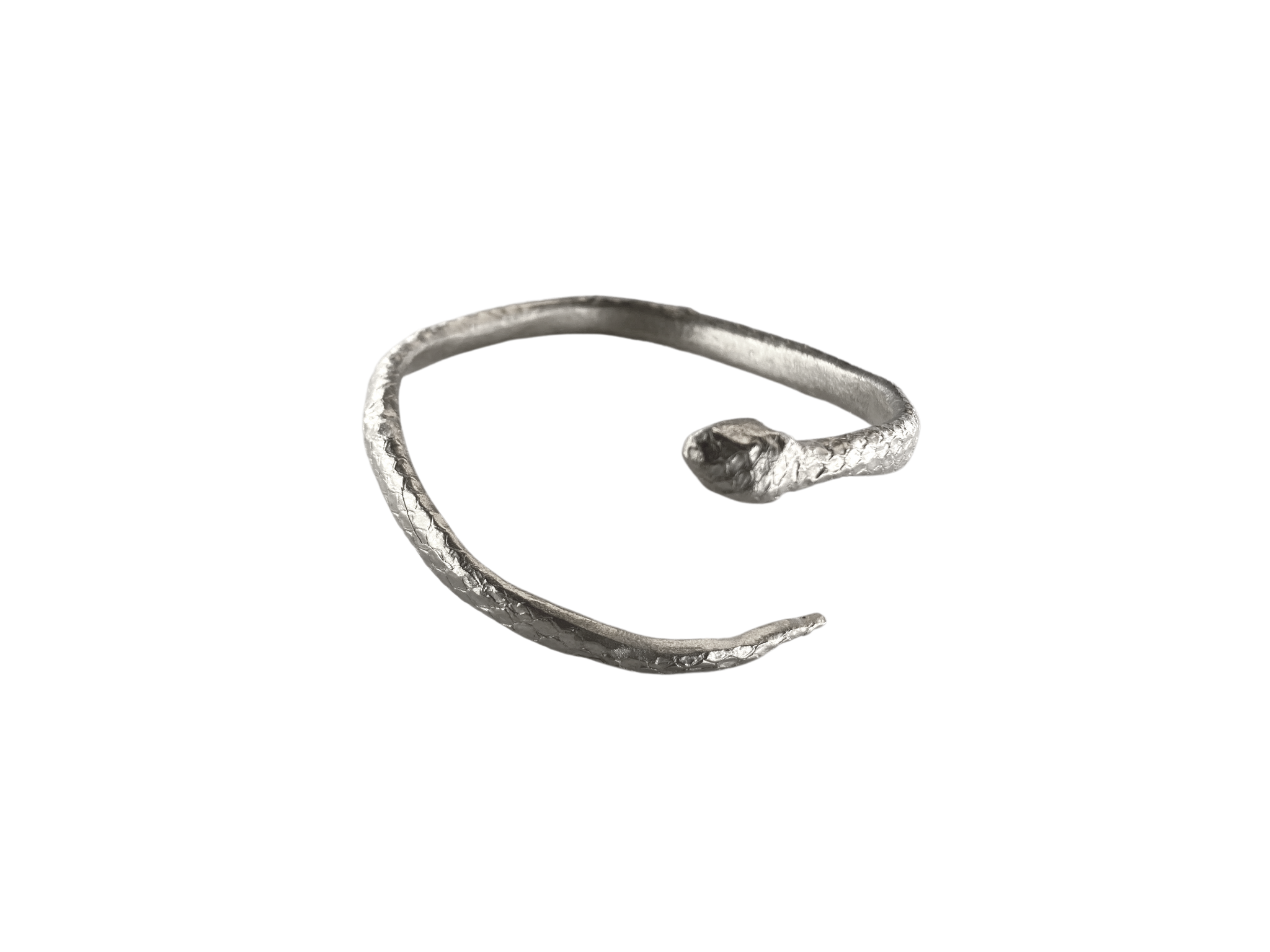 The Fighting Snake Arm